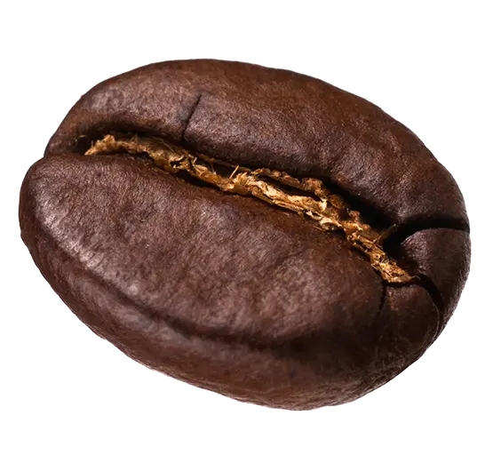big bean