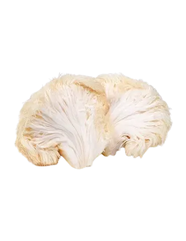 big mushroom