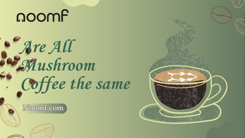 Mushroom Coffee