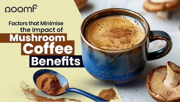 Mushroom Coffee Benefits